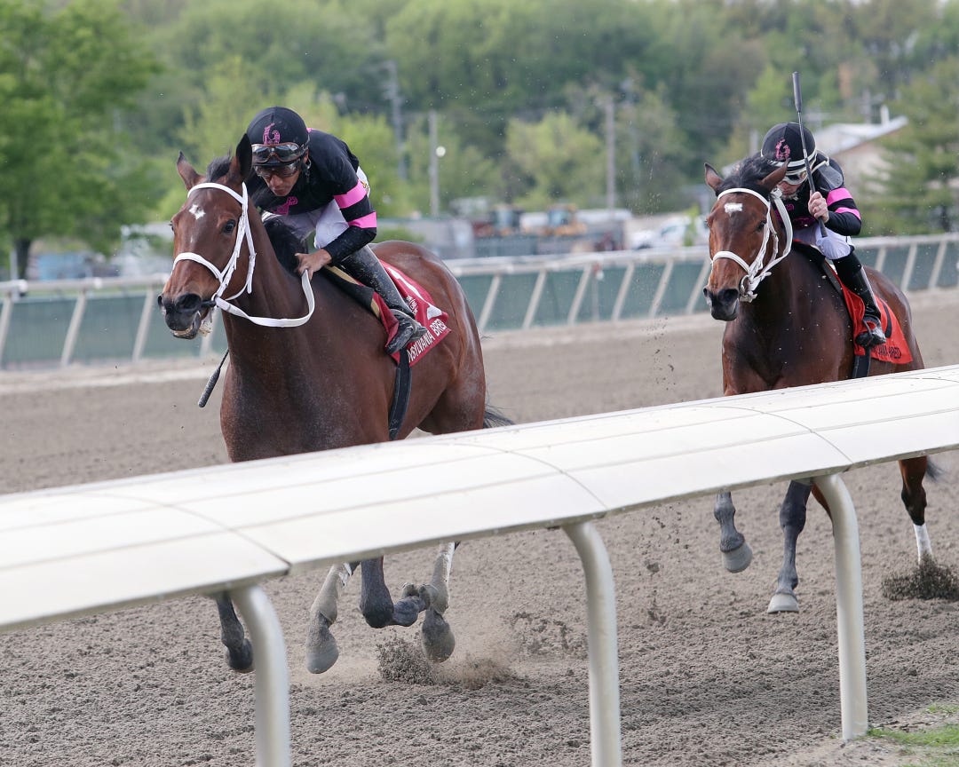 Morning Matcha wins the Unique Bella Stakes at Parx in April, earning a career-best Beyer Figure of 95.