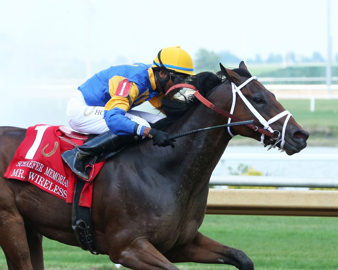 Mr. Wireless (above) finished behind West Will Power and Art Collector in his last start. He faces no such foes in the Lake Ouachita Stakes on Friday at Oaklawn.