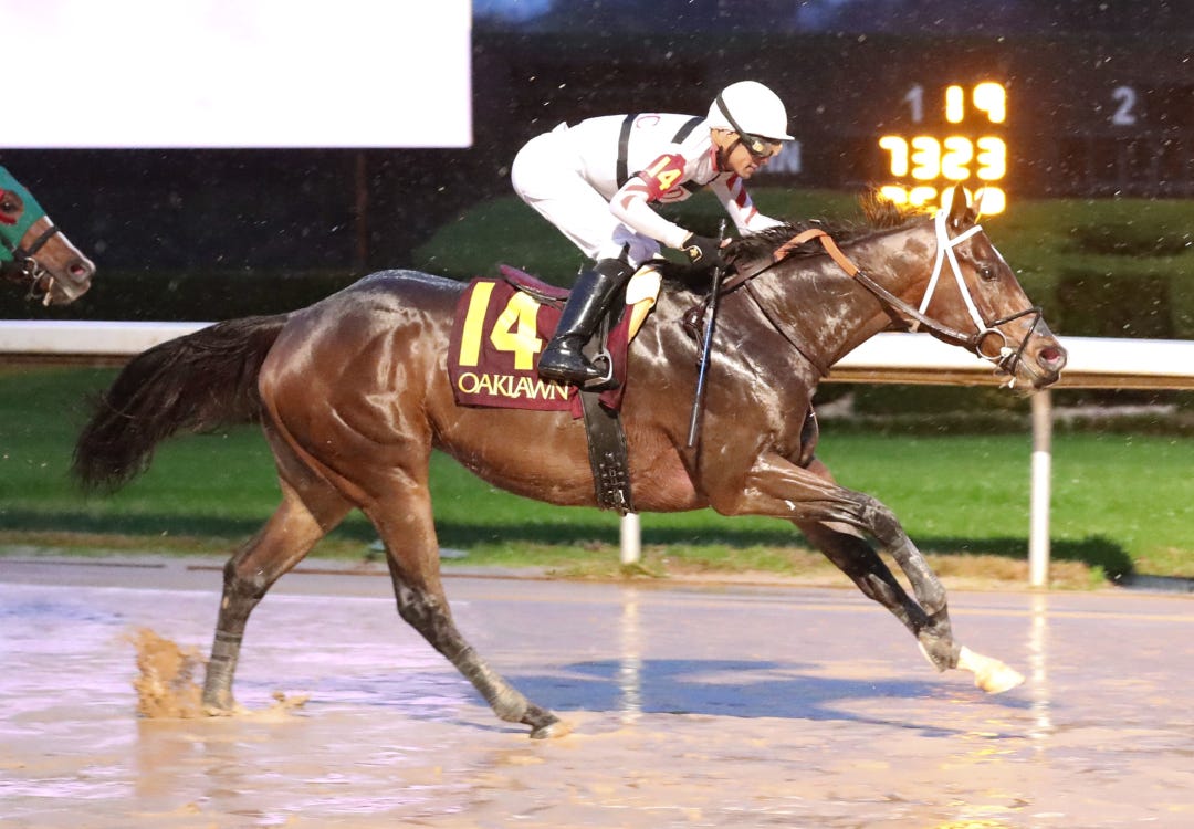 Mrs Beans wins at OP Dec 10 2022