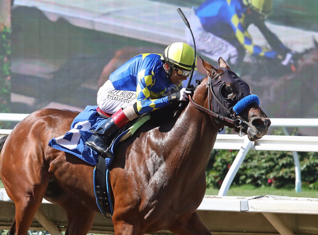 National Treasure wins debut at DMR Sept 3 2022