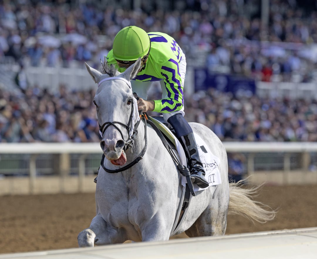 Next cruises to victory in the Grade 2 Thoroughbred Aftercare Alliance on Breeders’ Cup weekend last November at Keeneland.