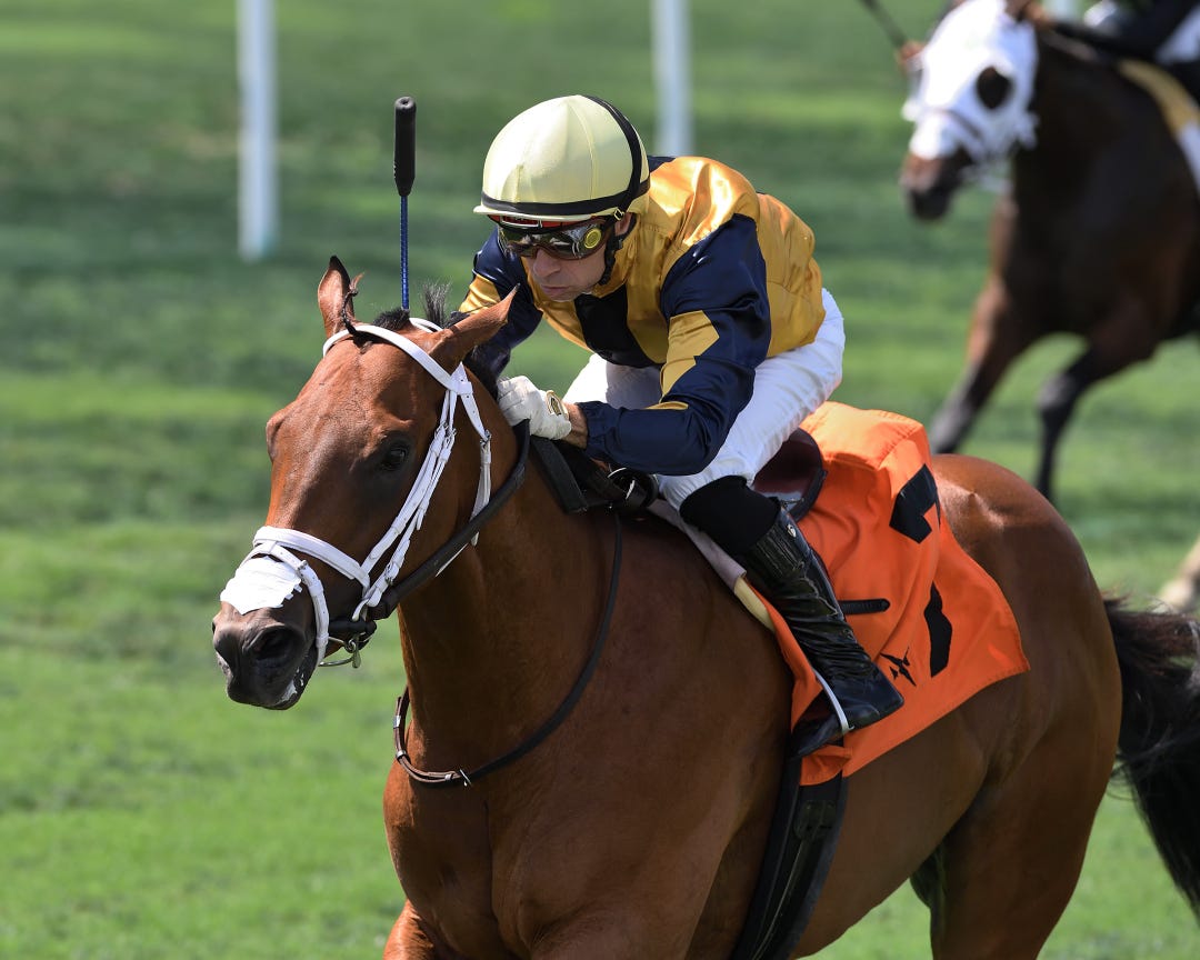 No Nay Mets wins Royal Palm Juvenile at GP May 13 2023