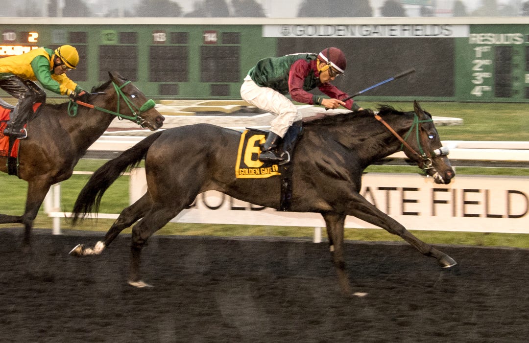 Passarando won two stakes at 2, including the Gold Rush in December at Golden Gate (above). He'll have his hands full with Prince Abu Dhabi in Sunday's Alcatraz Stakes. 