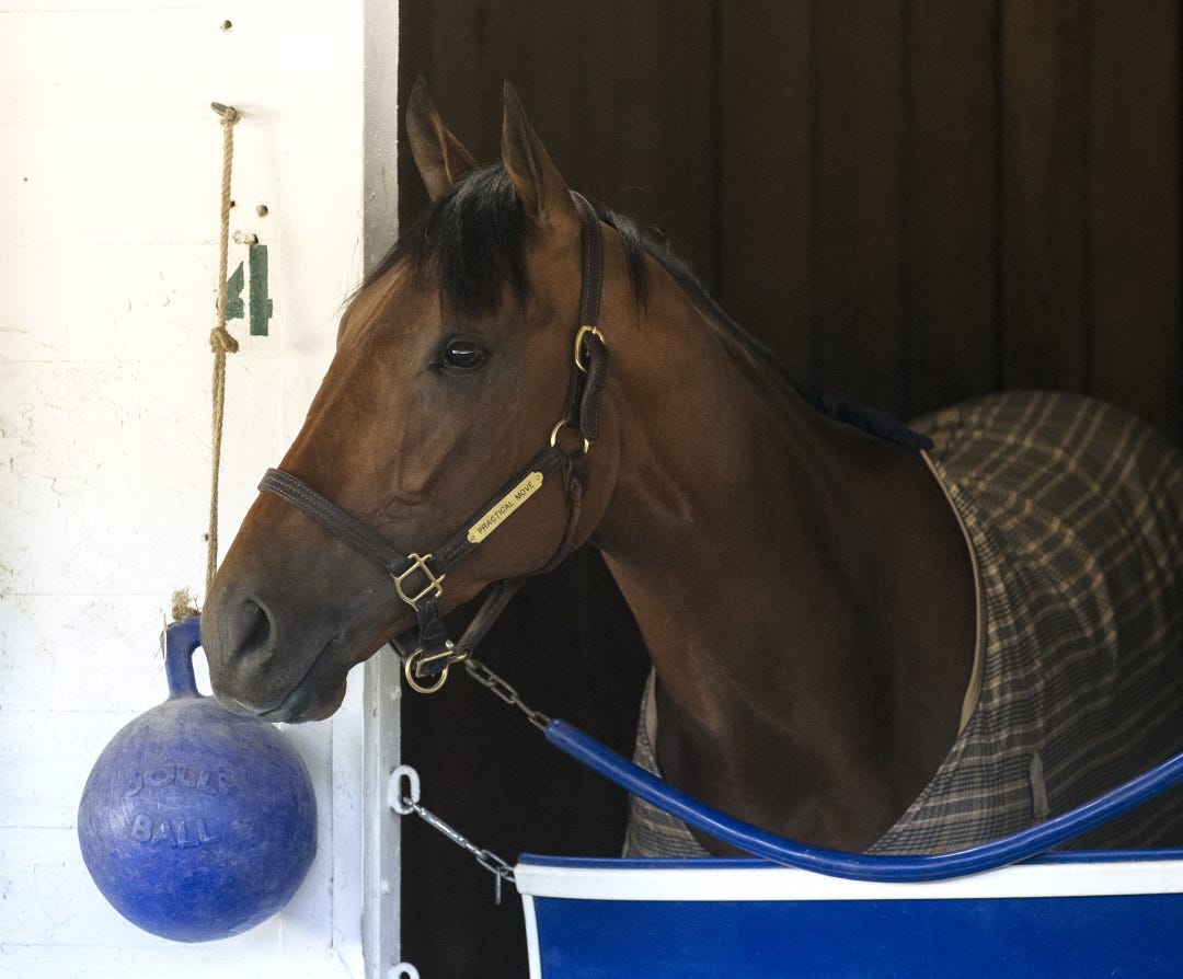 Practical Move has been given a light training regimen by Tim Yakteen leading up to the Kentucky Derby.