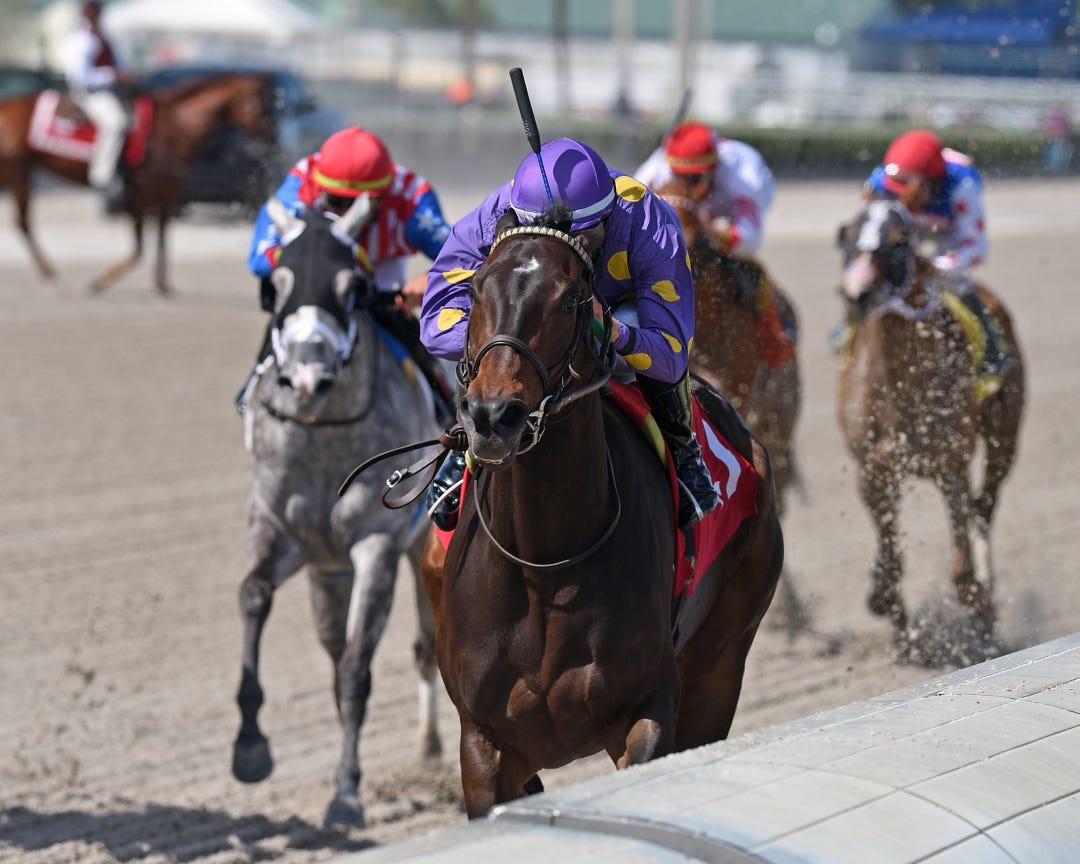 Rachel's Rock wins at GP March 22 2023