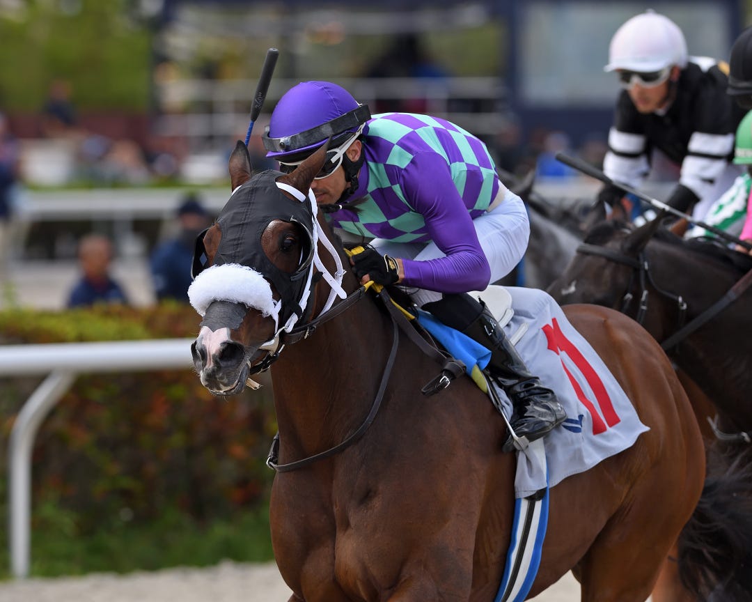 Saratoga Flash wins at GP Feb 12 2023