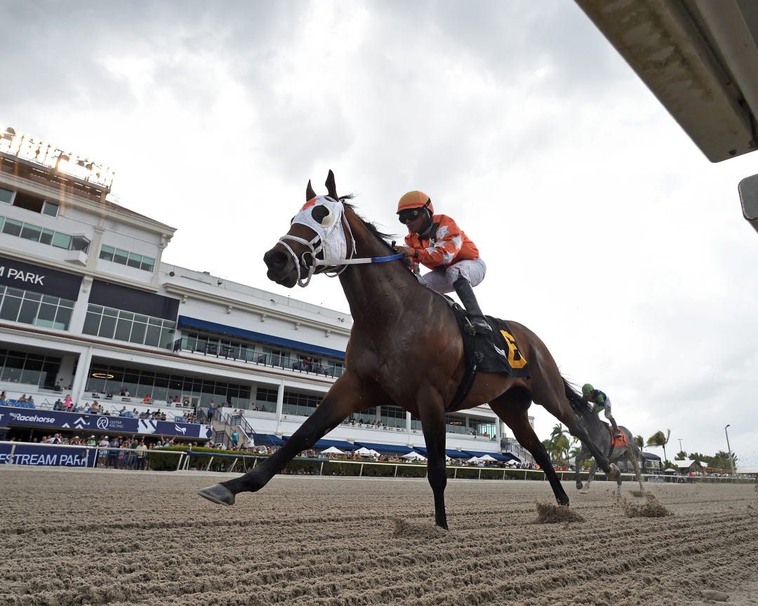 Starship Renegade wins at GP April 9 2023
