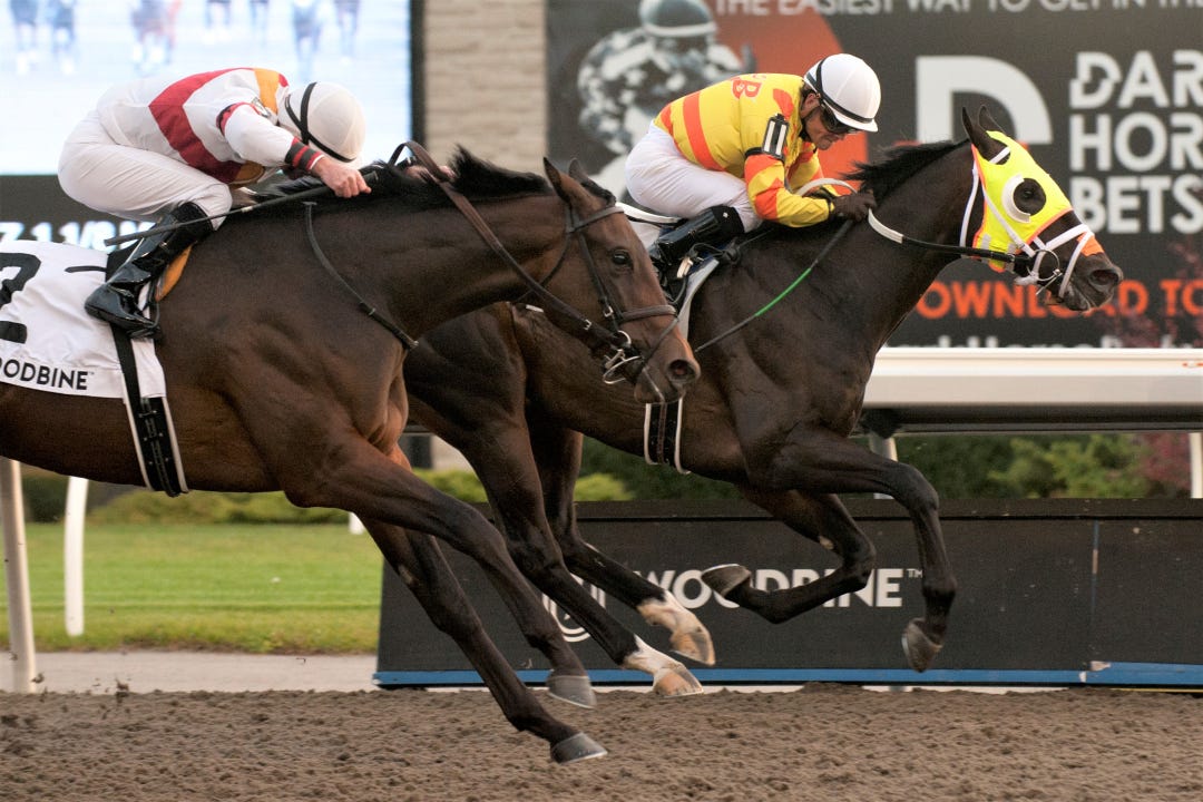 Velocitor wins Coronation Futurity at WO Nov 6 2022