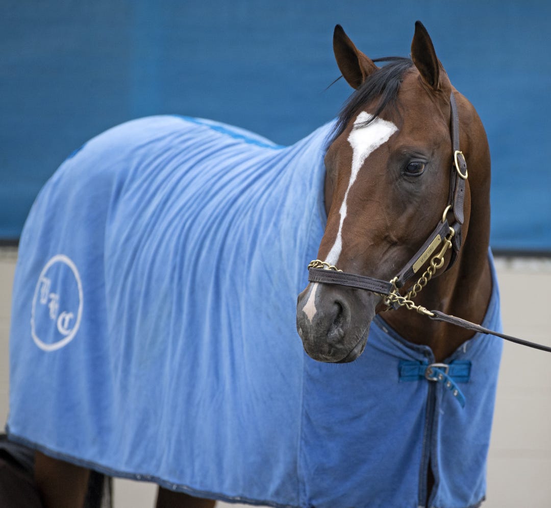 Verifying will be Justify's first Kentucky Derby starter on Saturday.