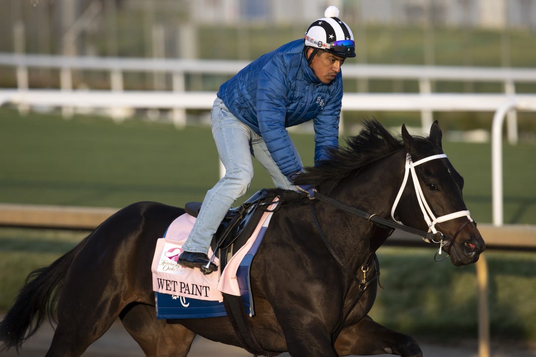 Wet Paint, trained by Brad Cox, enters the Kentucky Oaks off three graded stakes wins at Oaklawn.