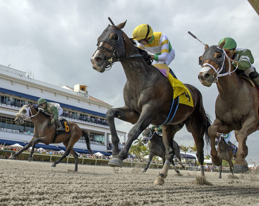 Weyburn wins the Sir Shackleton Stakes at Gulfstream for trainer Jimmy Jerkens, who is heading to Saudi Arabia for a training job.