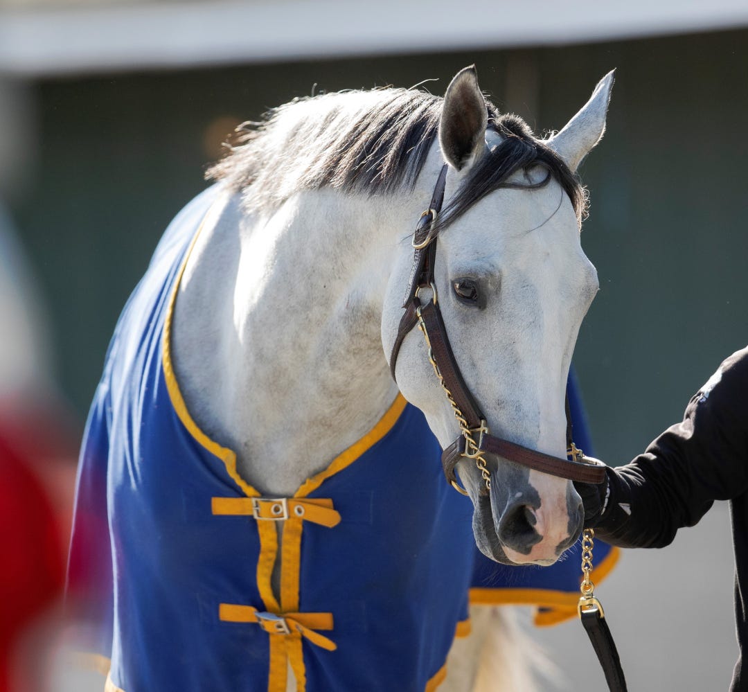 White Abarrio at CD May 3 2023