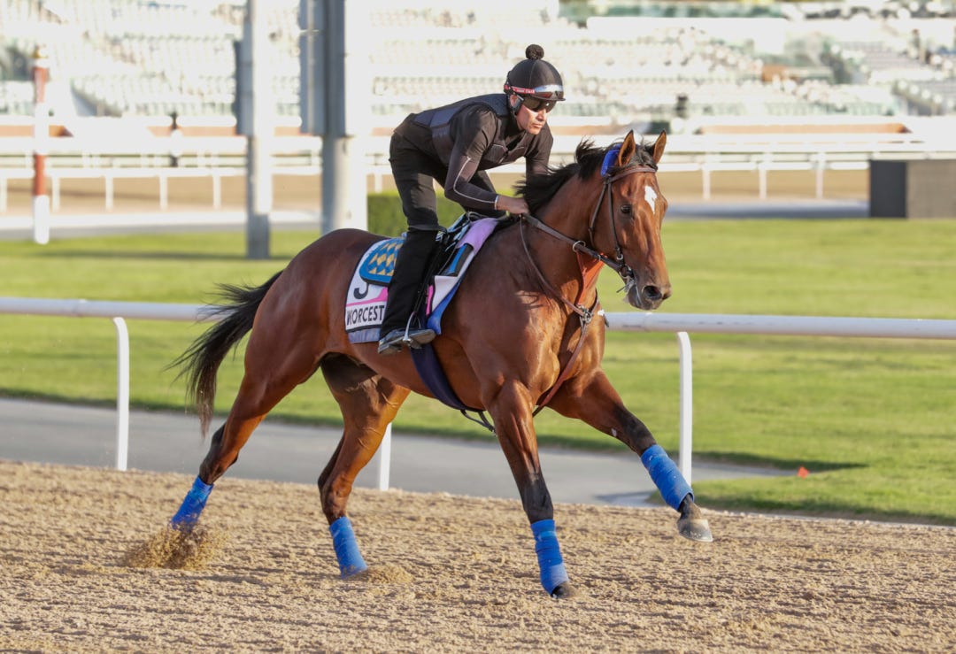 Worcester, a maiden who finished third in a Grade 3 stakes, will be a heavy favorite in Friday's third race at Santa Anita.