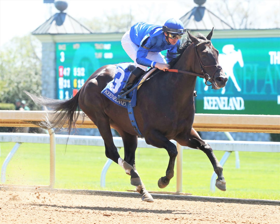 Amaretti wins maiden at KEE April 12 2023