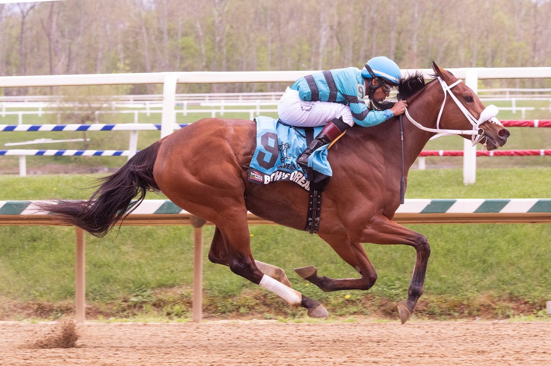 Beth's Dream wins Heavenly Cause at LRL April 15 2023