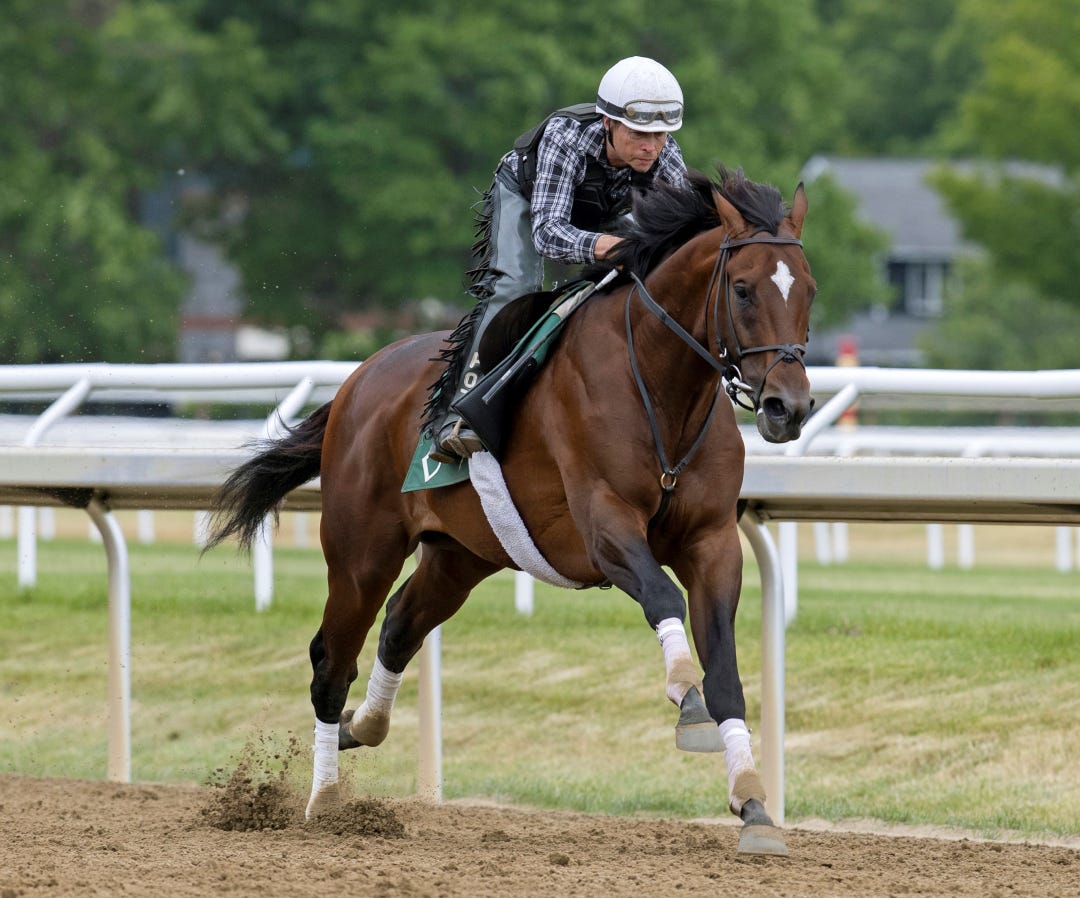 Cody's Wish works at BEL June 4 2023