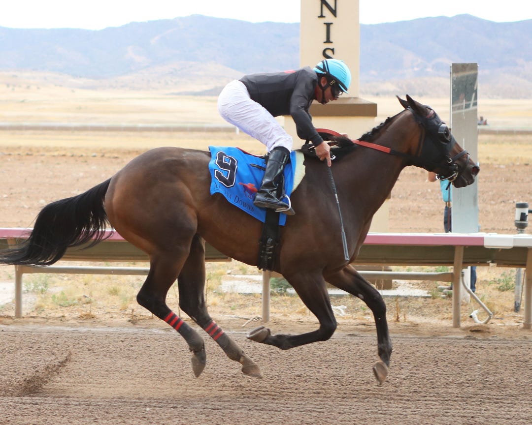 El Chavo Del Ocho wins the Inaugural at Arizona Downs June 25 2022