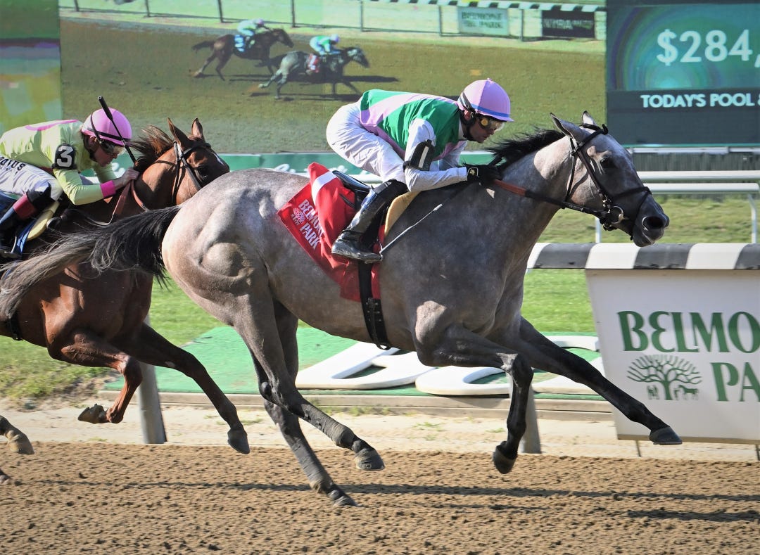 Fireline wins at Belmont May 18 2023