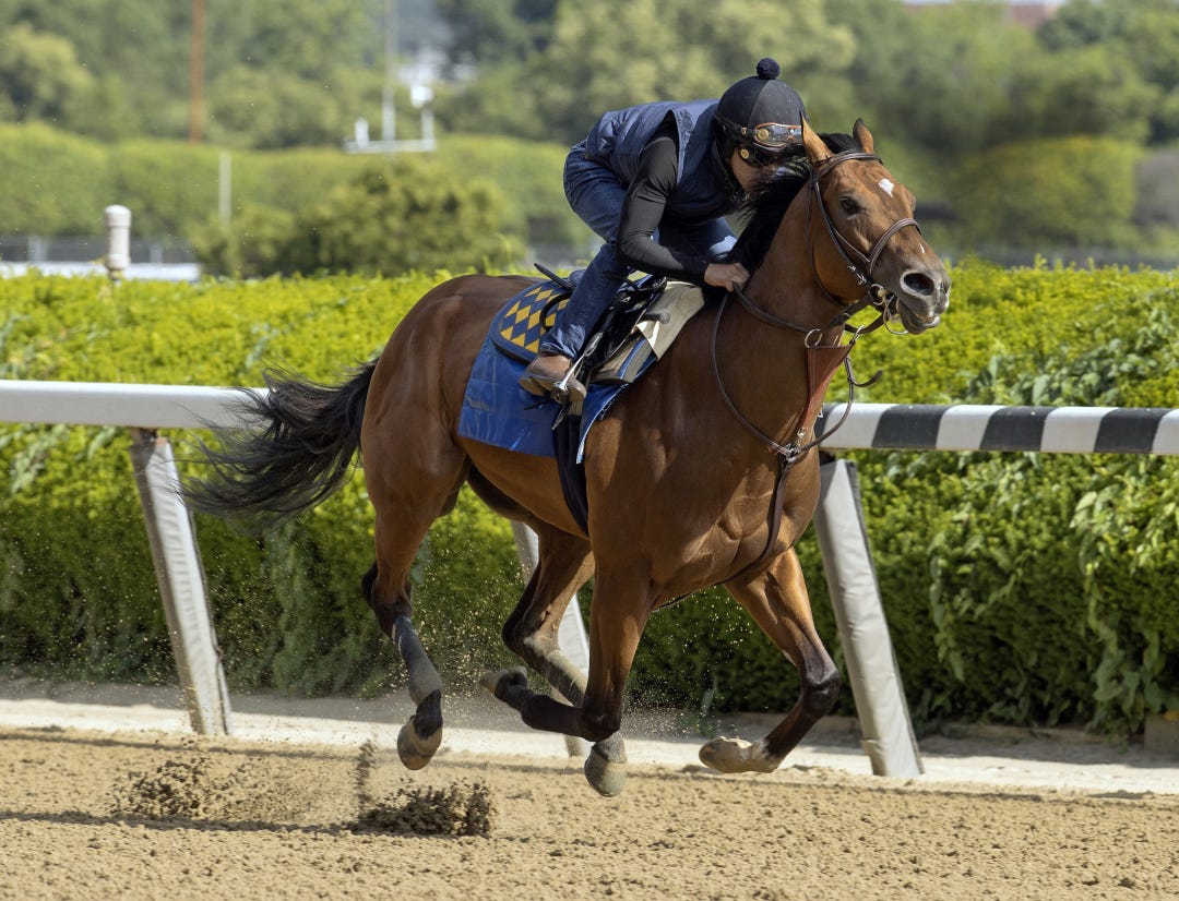 National Treasure works at Belmont June 5 2023