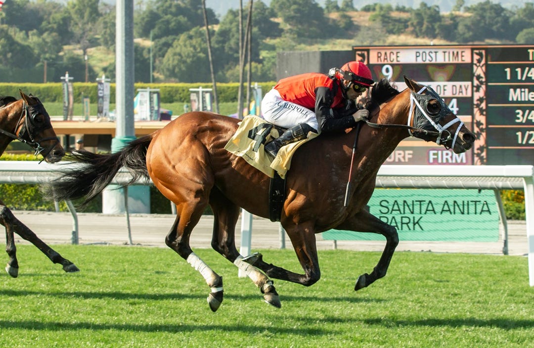 Offlee Naughty wins San Luis Rey at SA May 13 2023