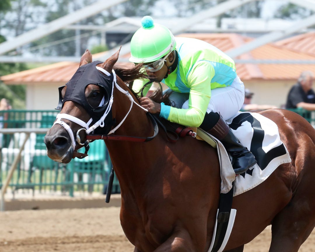 Rhyme Schemes wins maiden at ELP June 15 2023