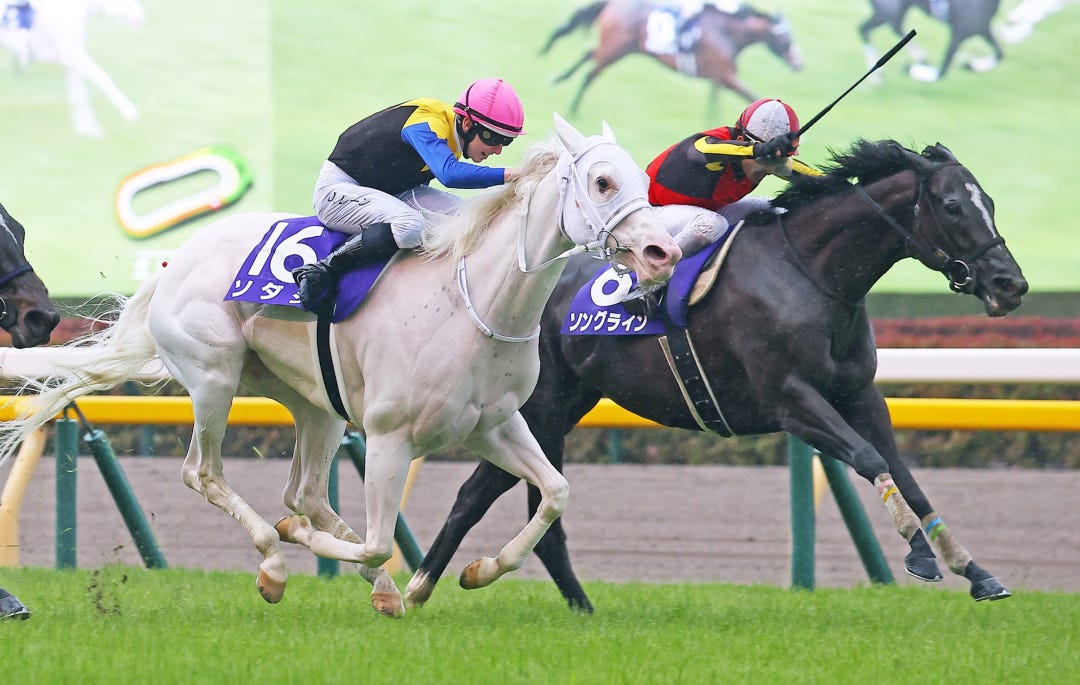 Songline (inside) beats Sodashi in Victoria Mile in Tokyo May 14 2023