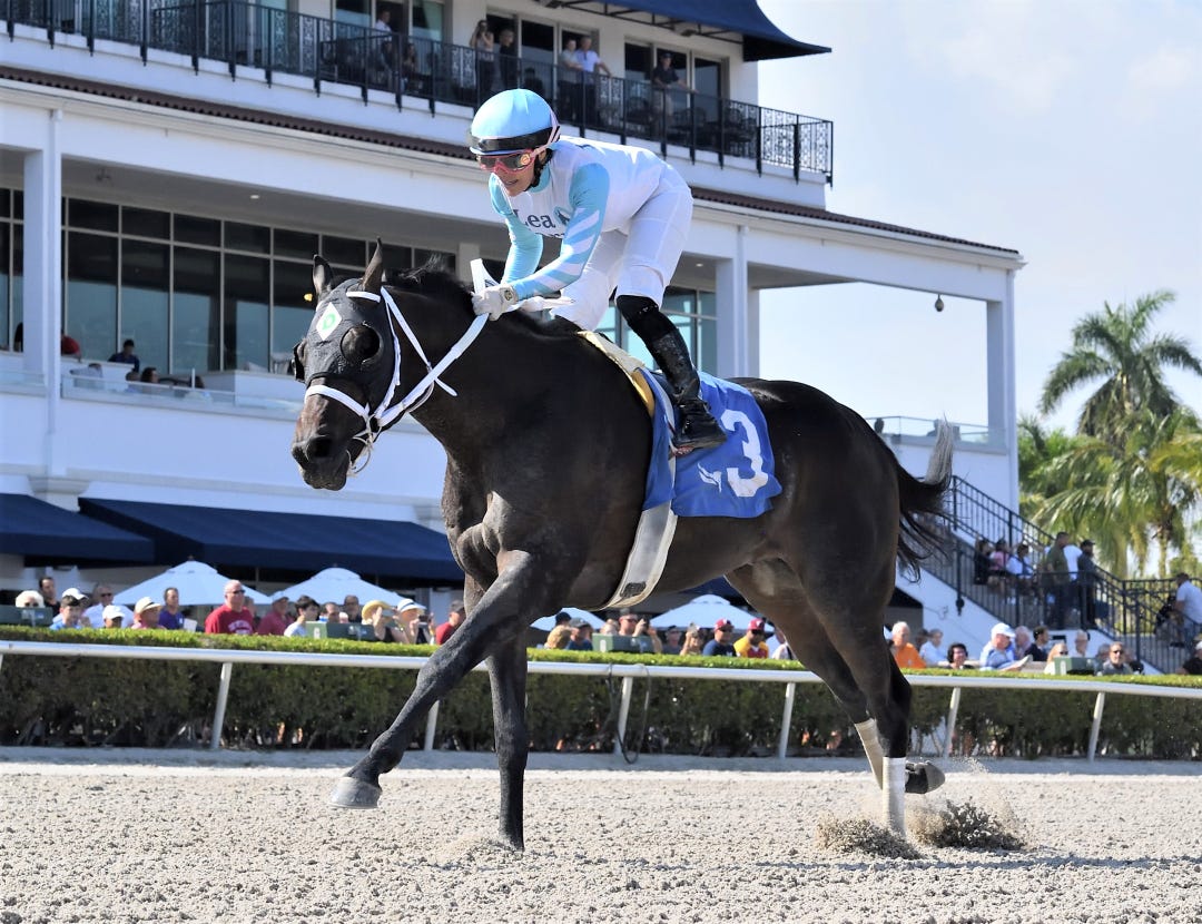 Super Chow wins Hutcheson at GP March 18 2023