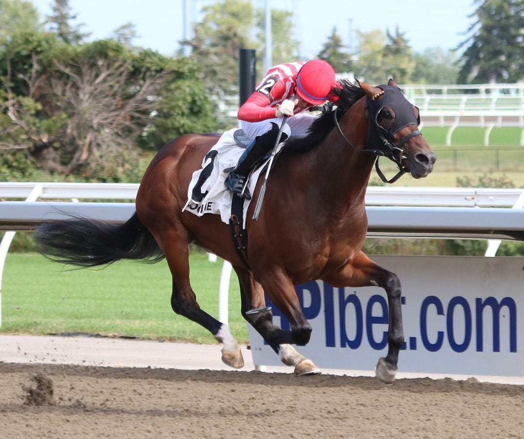 War Bomber wins Seagram Cup at WO Aug 14 2022