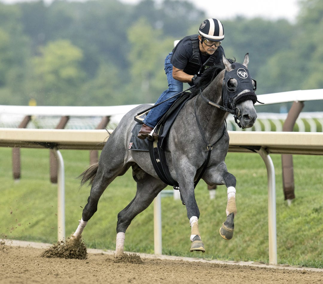 Arcangelo works at SAR July 5 2023