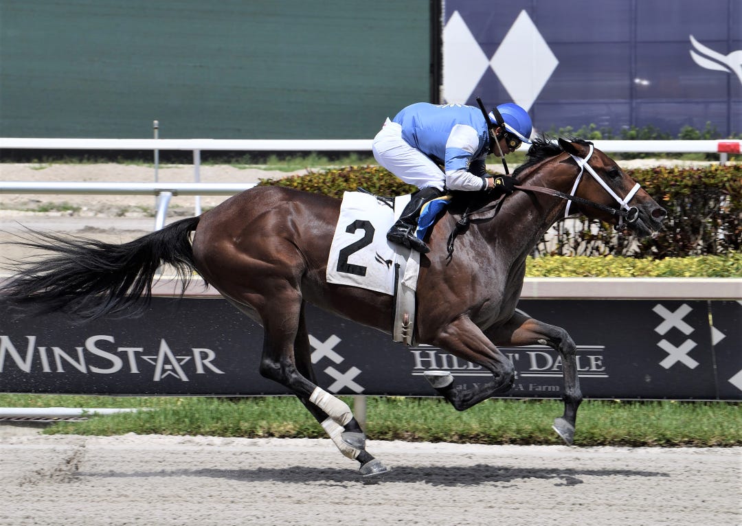 Big Data wins at GP July 23 2023