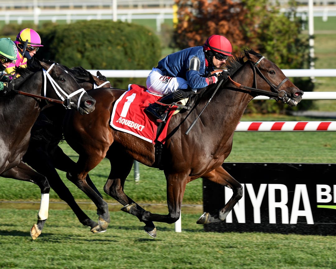 Churchtown wins Gio Ponti at AQU Nov 19 2022