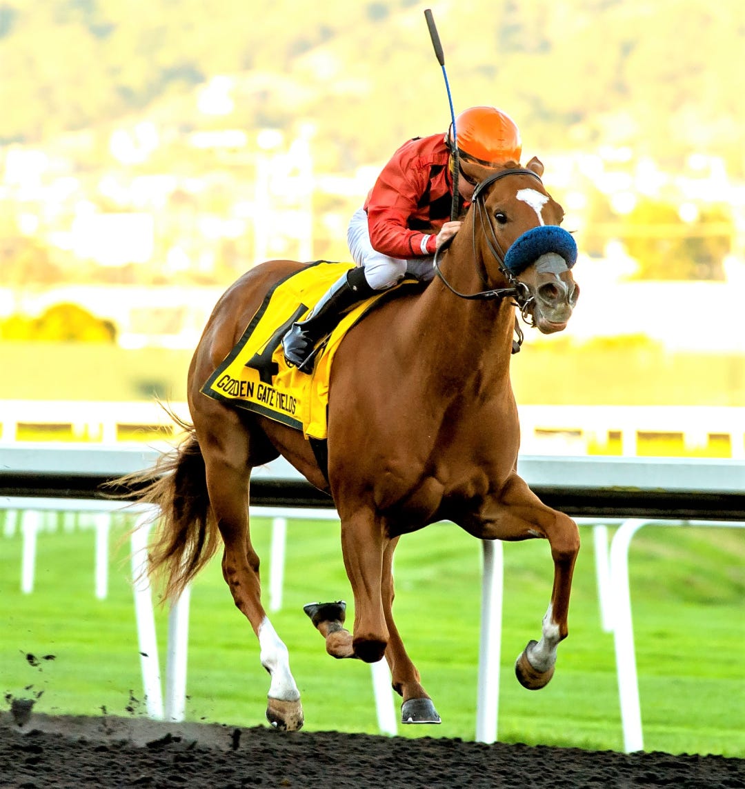 Clovisconnection wins Golden Nugget at GG Nov 12 2023