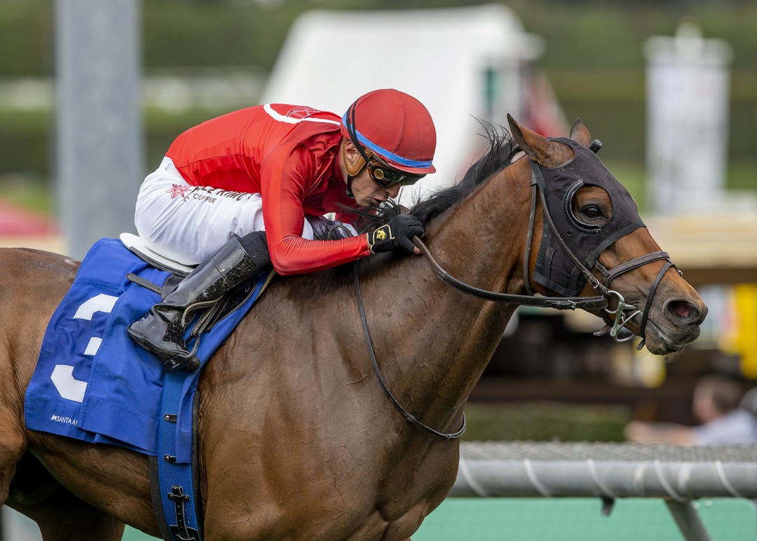 Dicey Mo Chara wins San Gabriel at SA Dec 26 2022