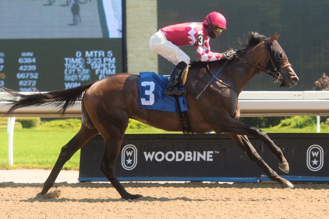 Dolder Grand wins maiden at WWO July 4 2021
