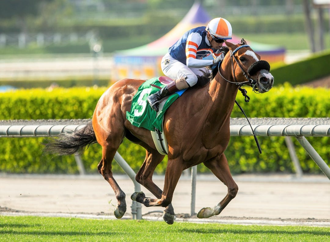 Elm Drive wins the Mizdirection at SA May 20 2023