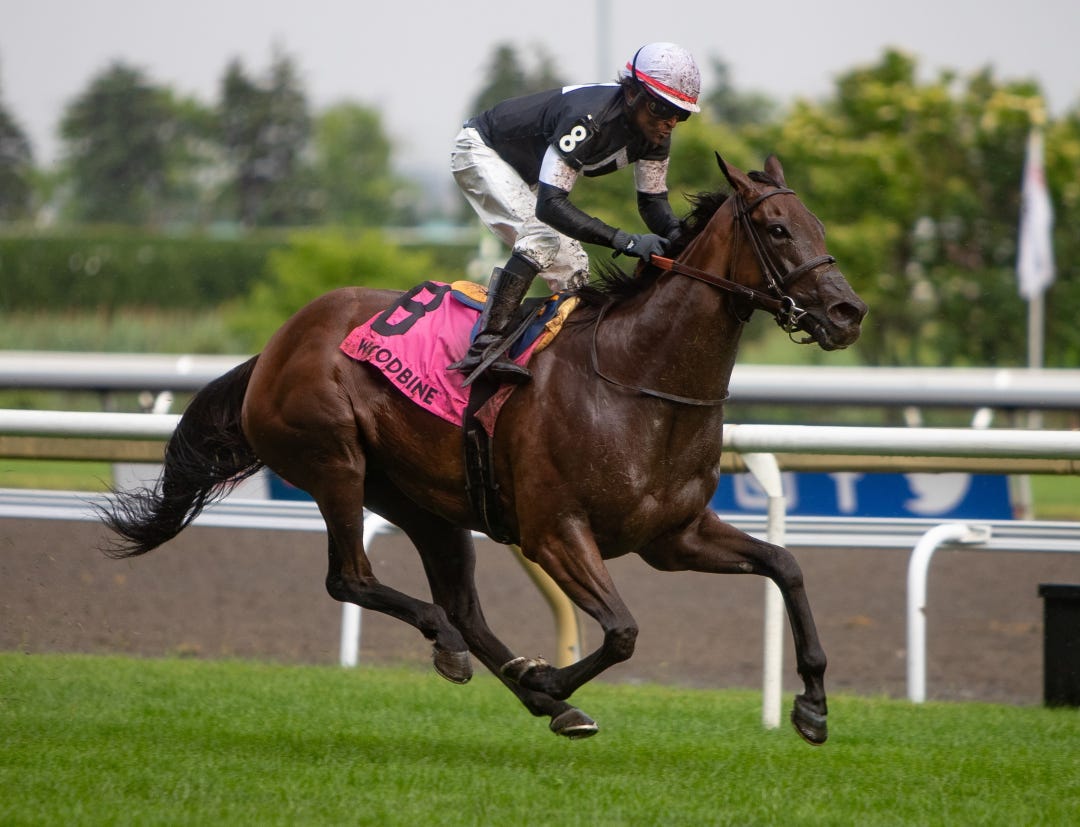 Fev Rover takes Nassau at WO July 1 2023