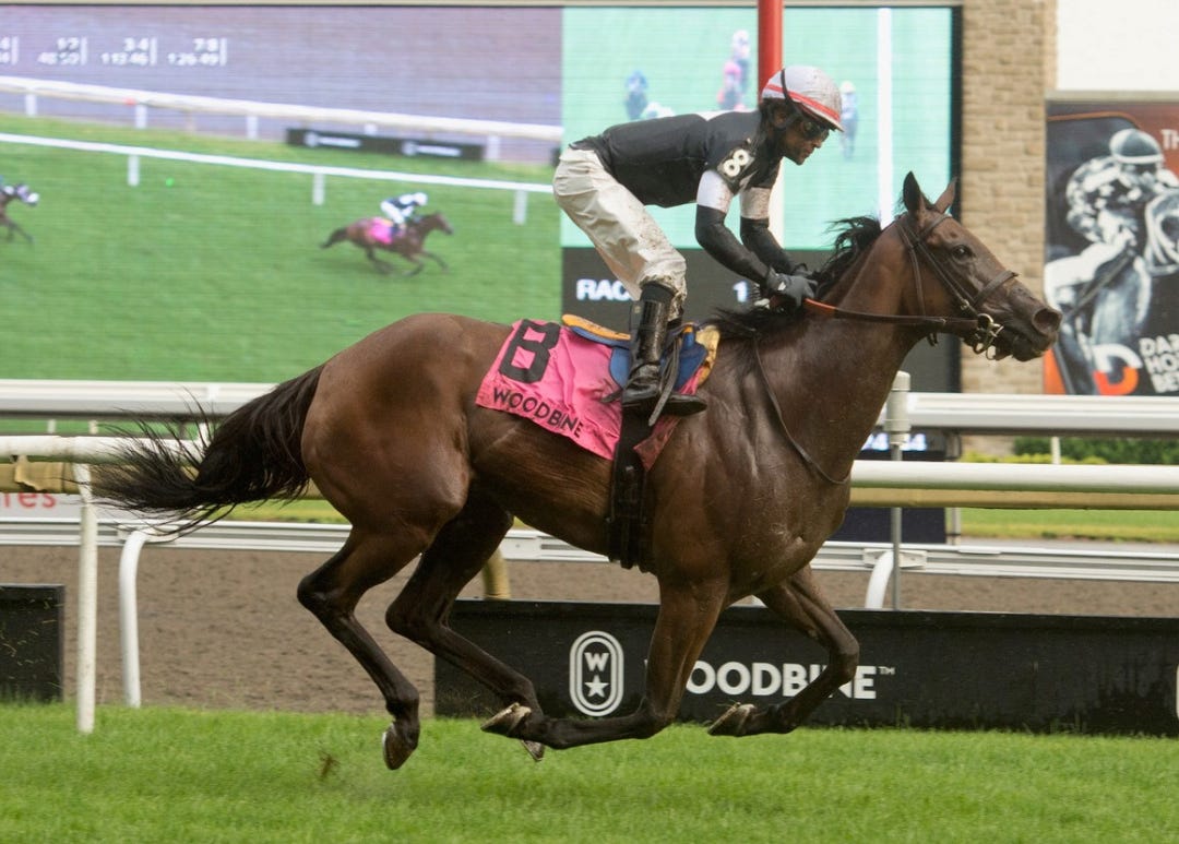 Fev Rover wins Nassau at WO July 1 2023