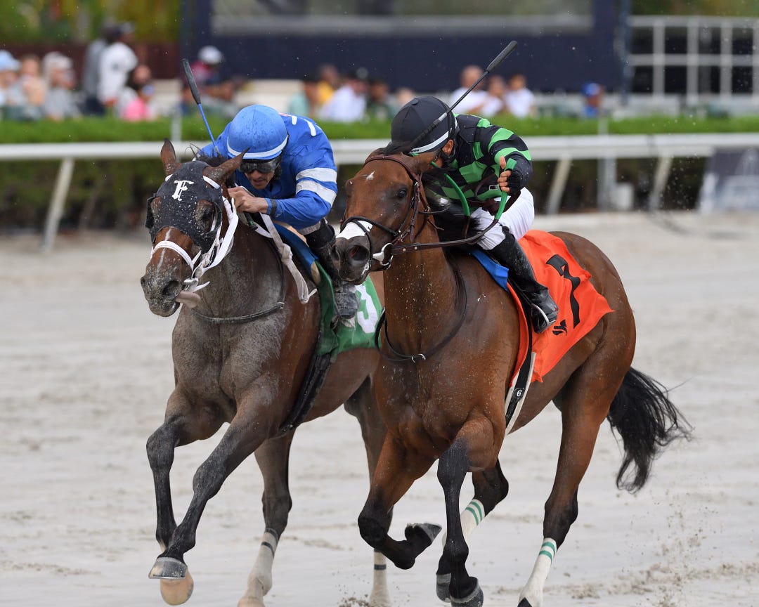 Flakes (right) beats Charlie's Wish in Game Face at GP June 17 2023