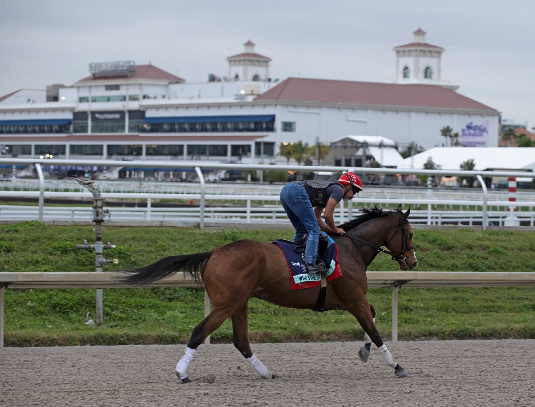 Gulfstream scenic.Who's the Star.1-27-23