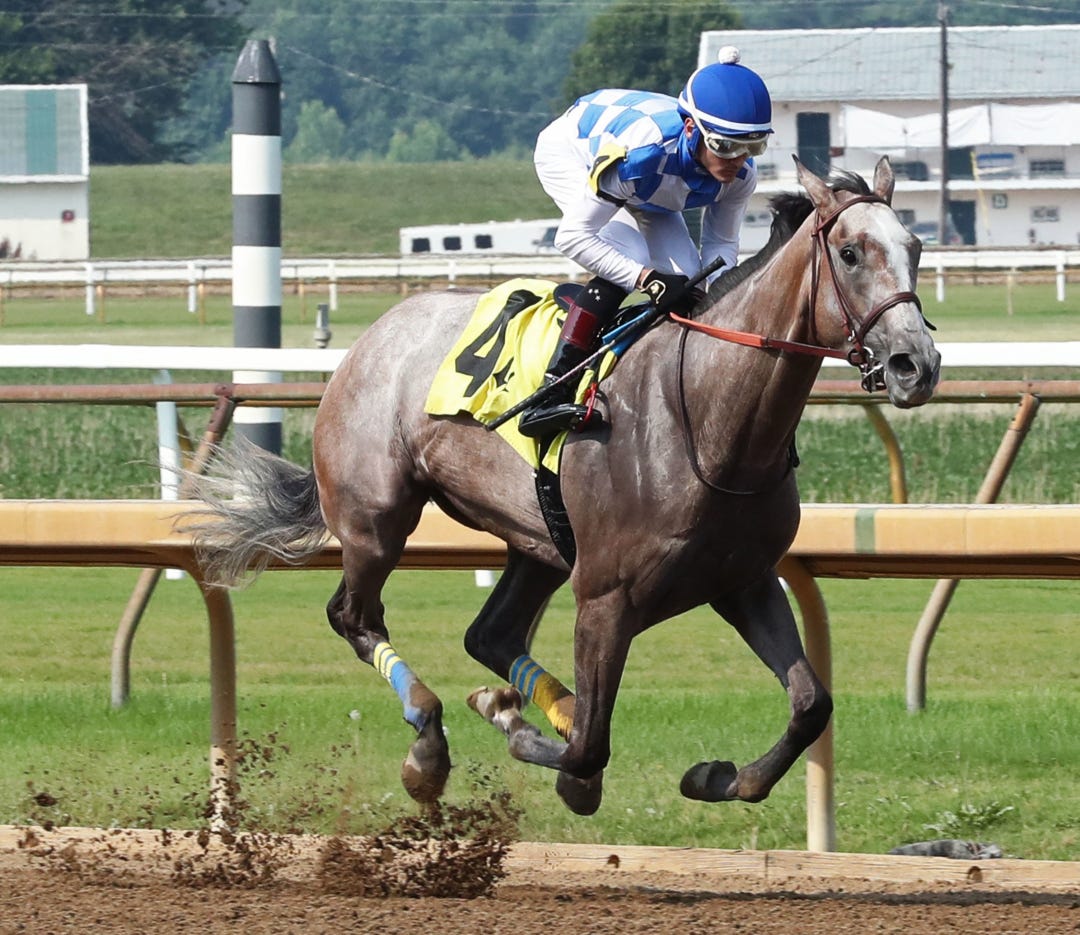 Hoosier Philly wins Monomoy Girl at ELP June 17 2023