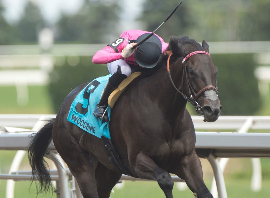 Miss Speedy wins Ballade at WO June 24 2023