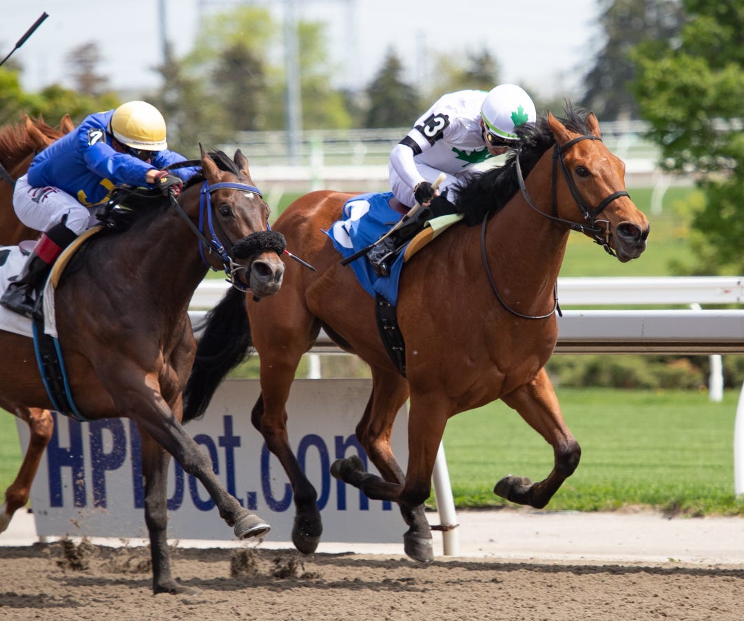 Rapid Test wins maiden at WO May 13 2023
