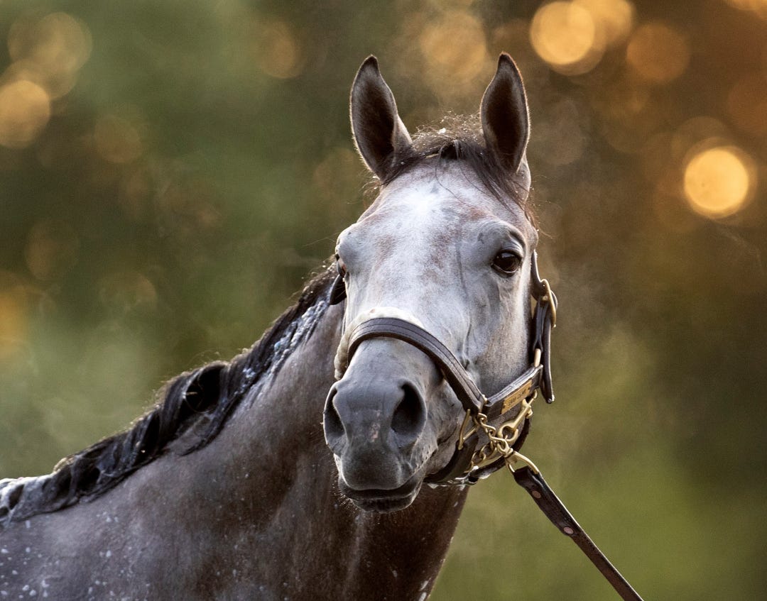 Saudi Crown at SAR July 22 2023