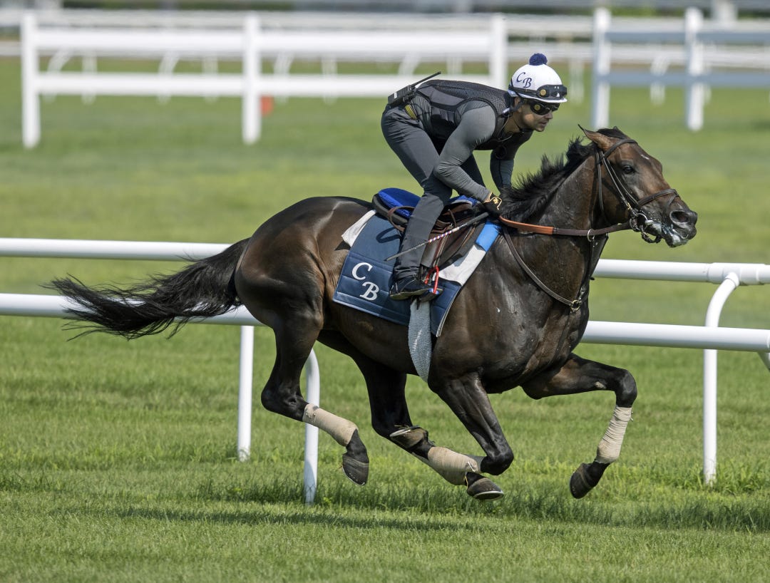 Stone Age02.7-19-23.BL