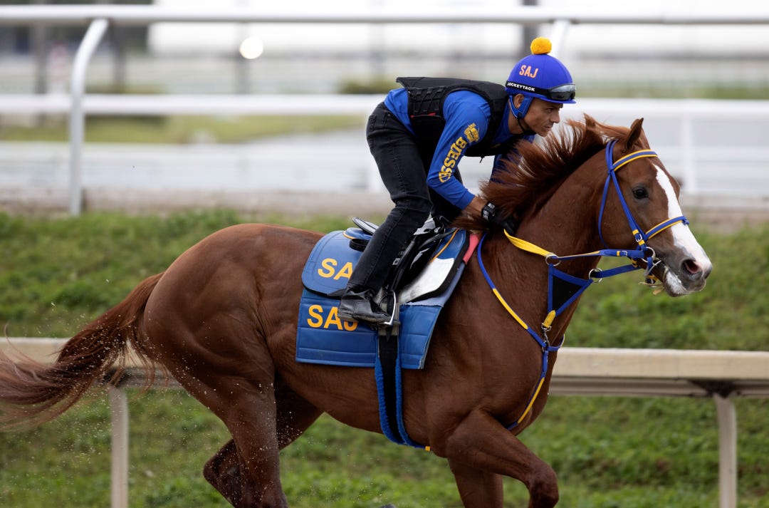 West Coast Cowboy trains at GP Jan 27 2023
