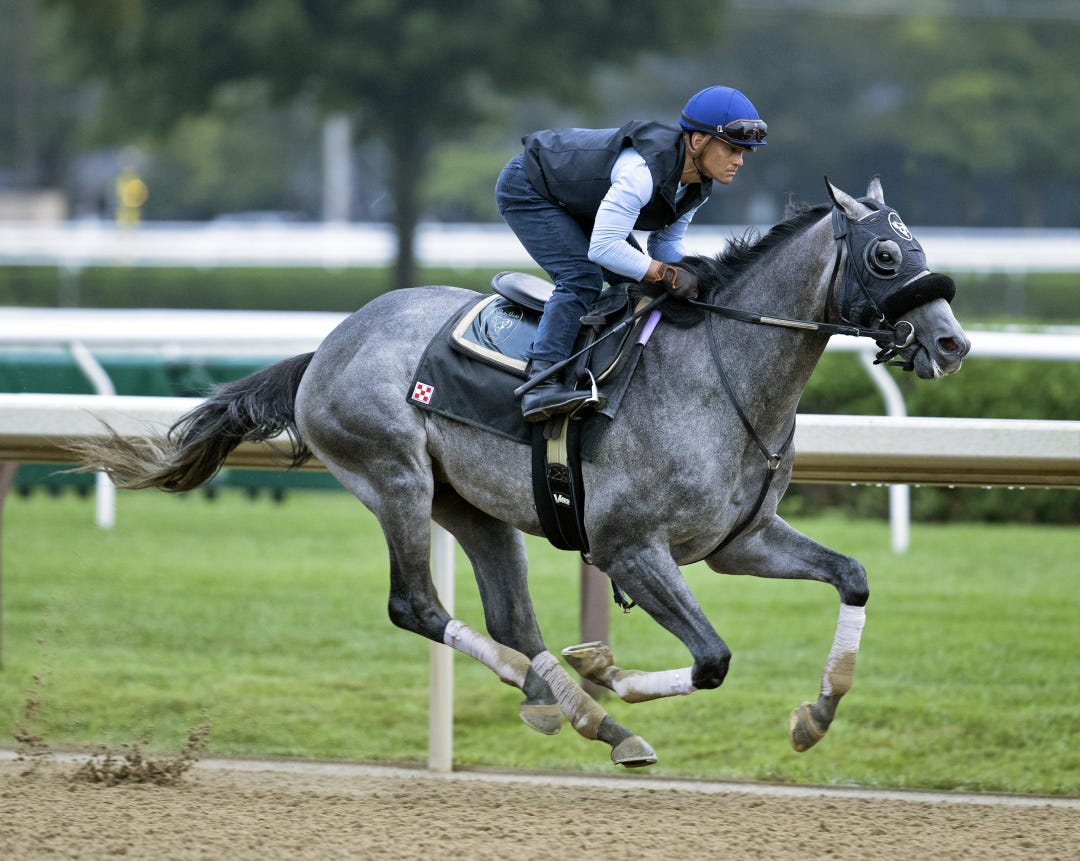 Arcangelo works at SAR Aug 16 2023