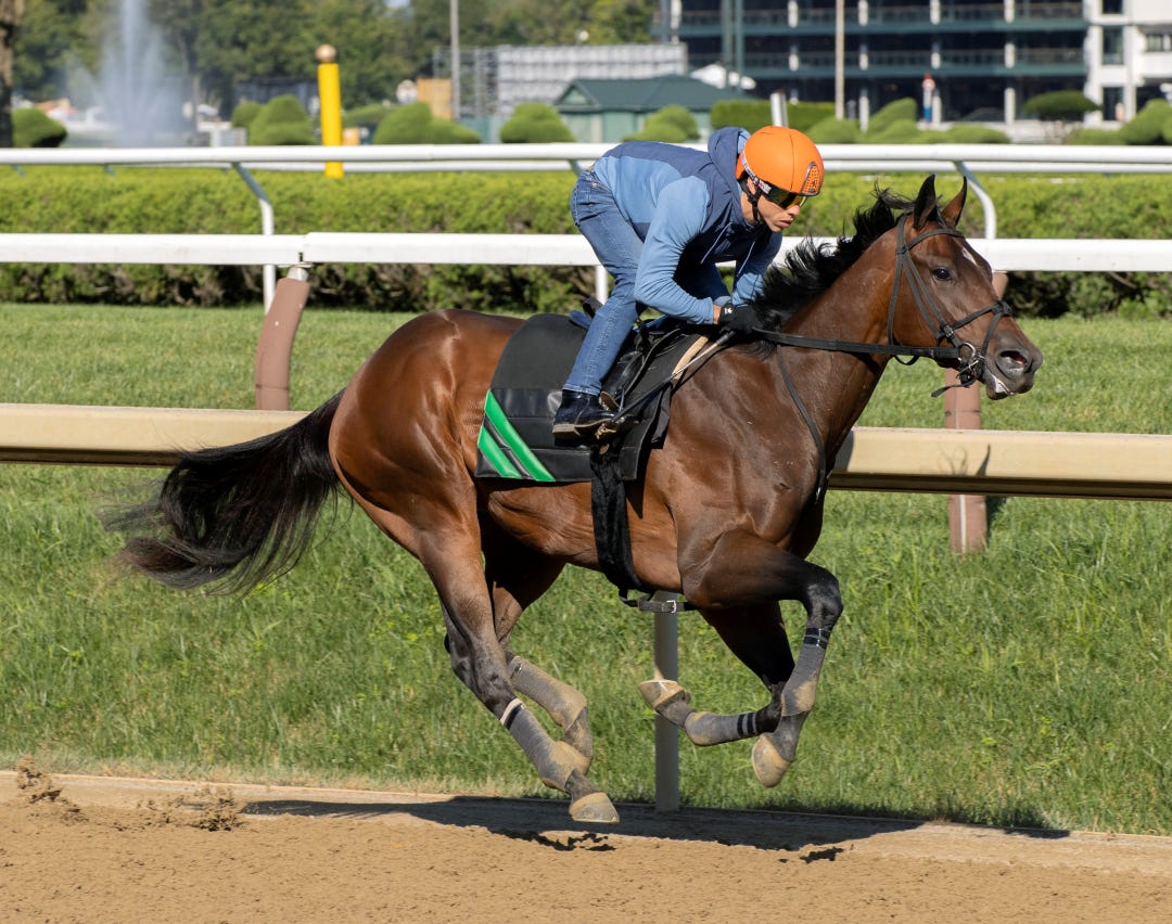 Brightwork breezes at SAR July 30 2023