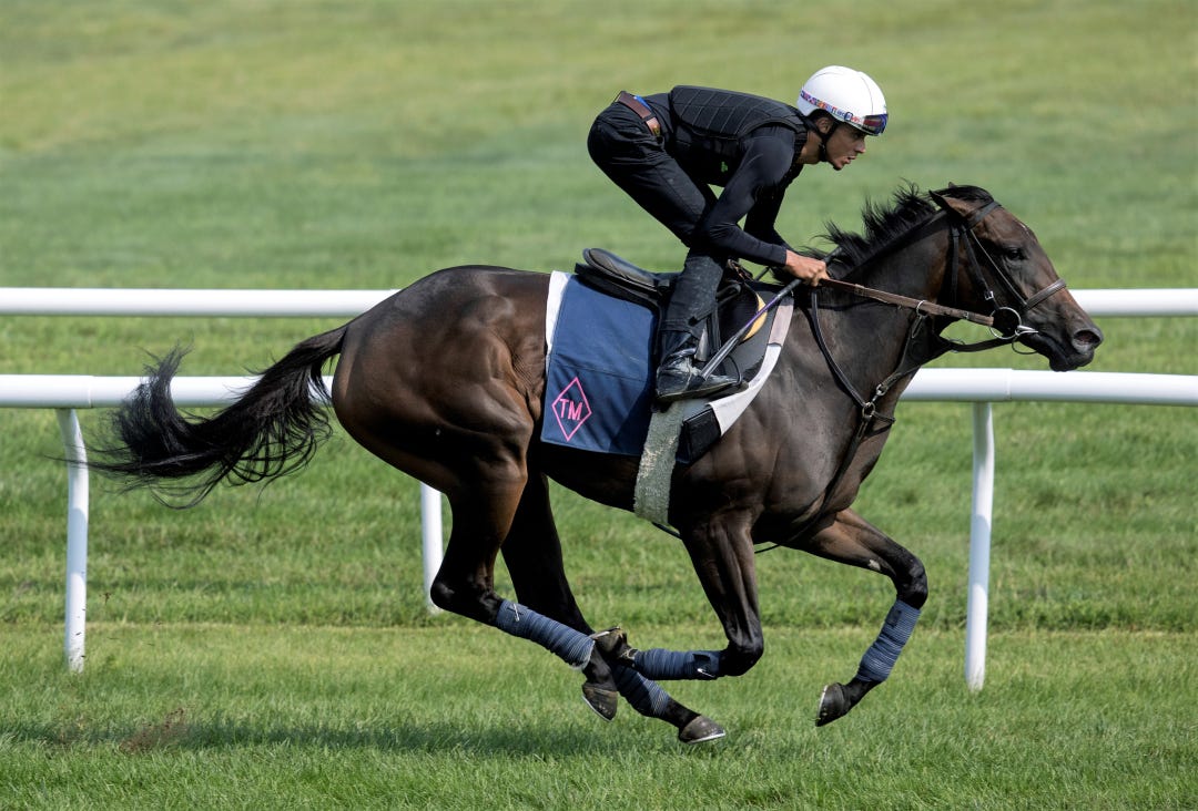 Cynane breezes at SAR Aug 20 2023