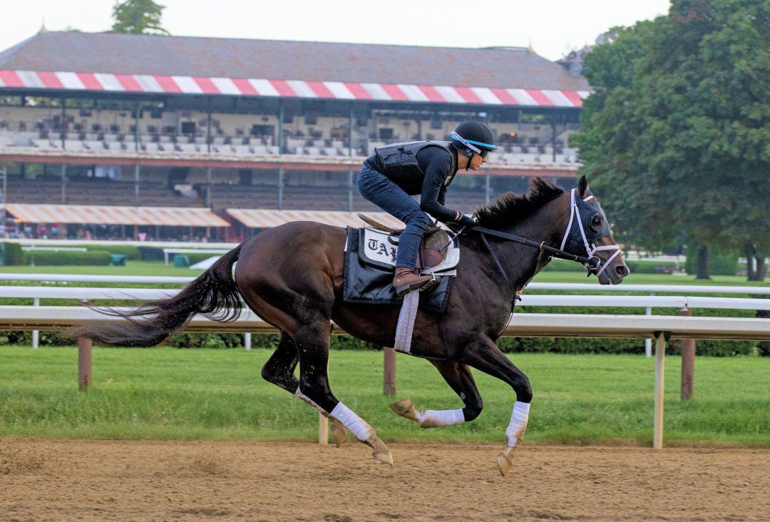 Forte trains at SAR Aug 23 2023