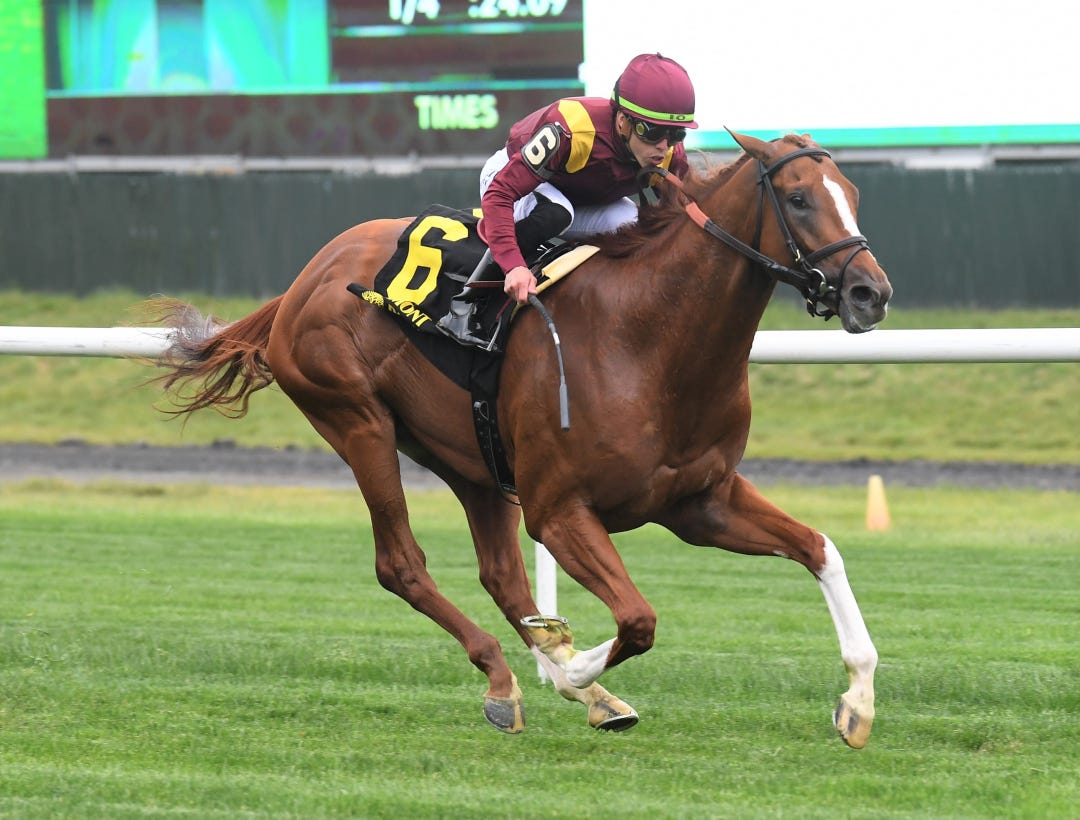 Kalik wins Pennine Ridge at BEL June 3 2023